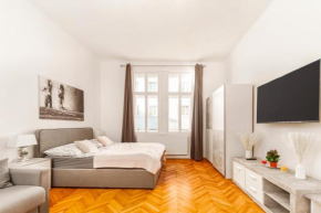 City Apartment with Netflix, central and near metro, 12
